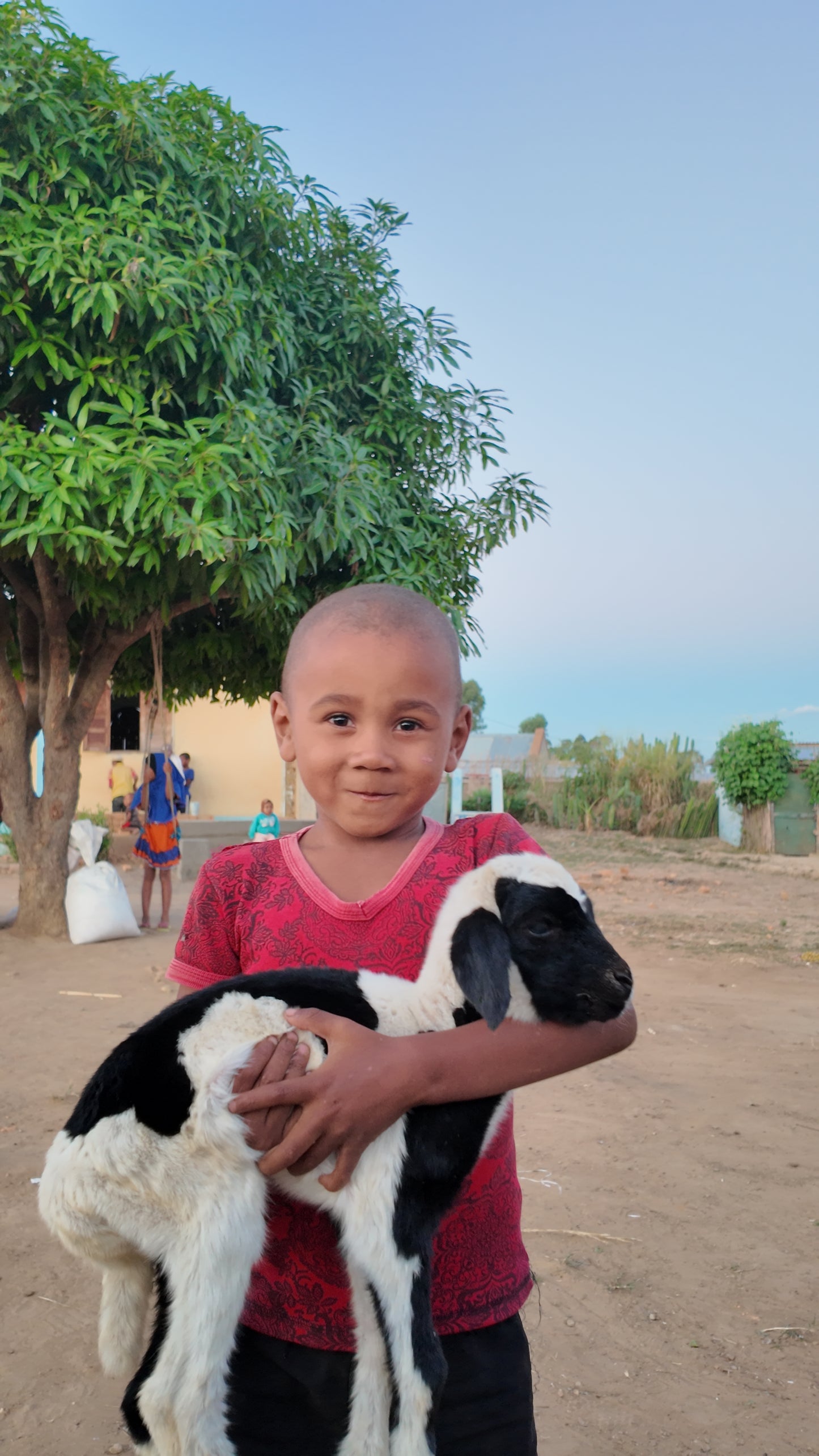 Aqiqa de bébé